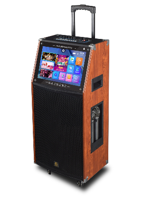 爵士龍F(tuán)15便攜視頻音響機(jī)